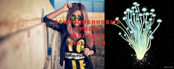амф Абаза