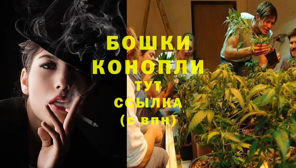 бошки Новокубанск